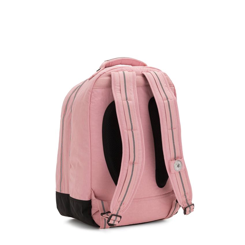 Kipling Class Room Rose | USKi1320G