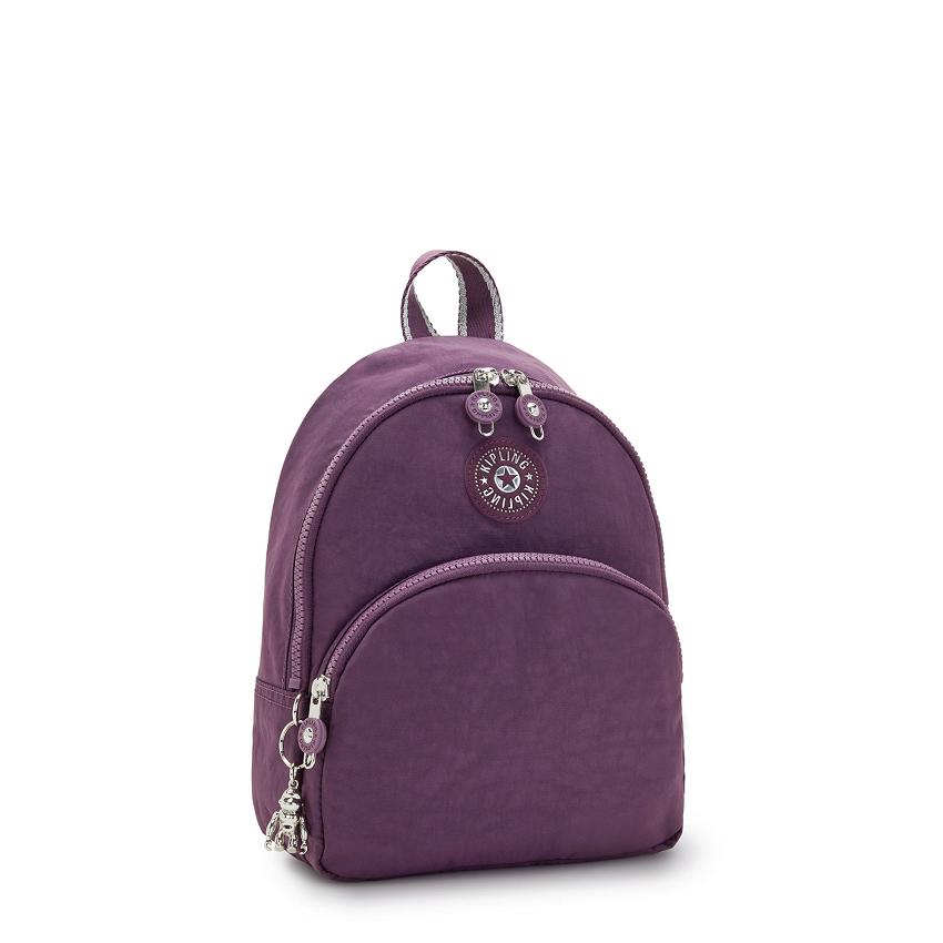 Kipling Paola Purple | USKi1300I