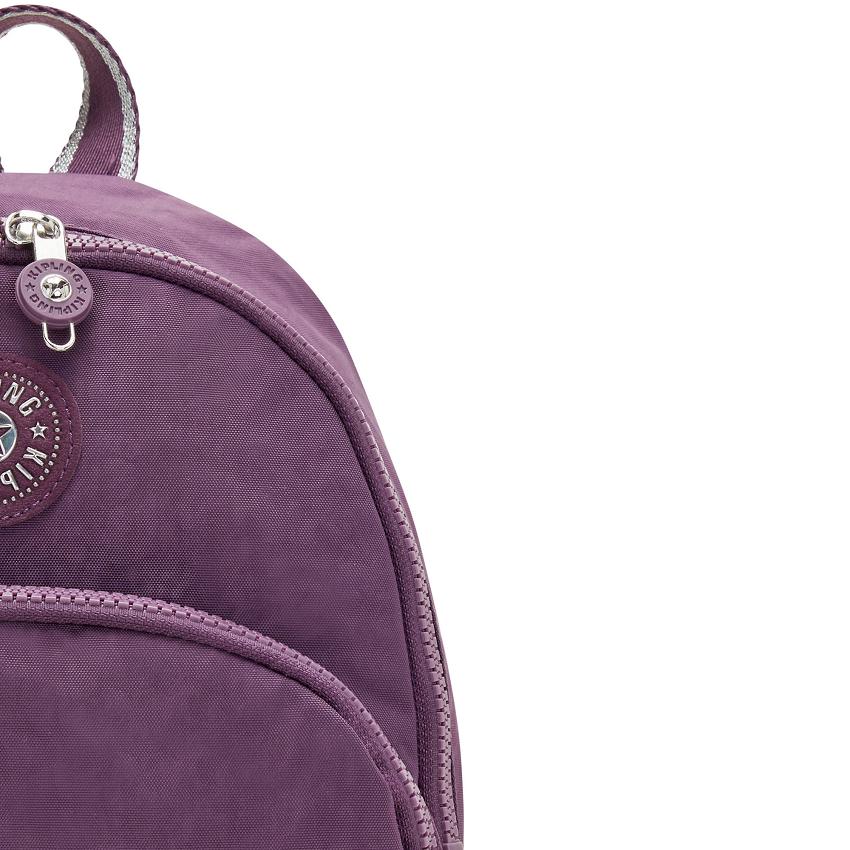 Kipling Paola Purple | USKi1300I