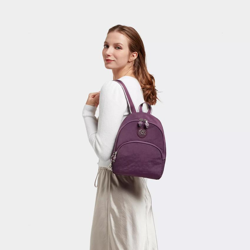 Kipling Paola Purple | USKi1300I